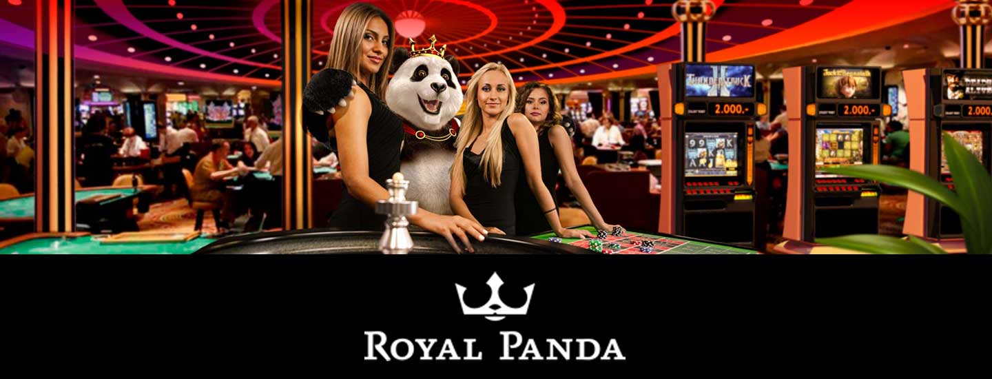 Royal Panda Live Roulette big winner