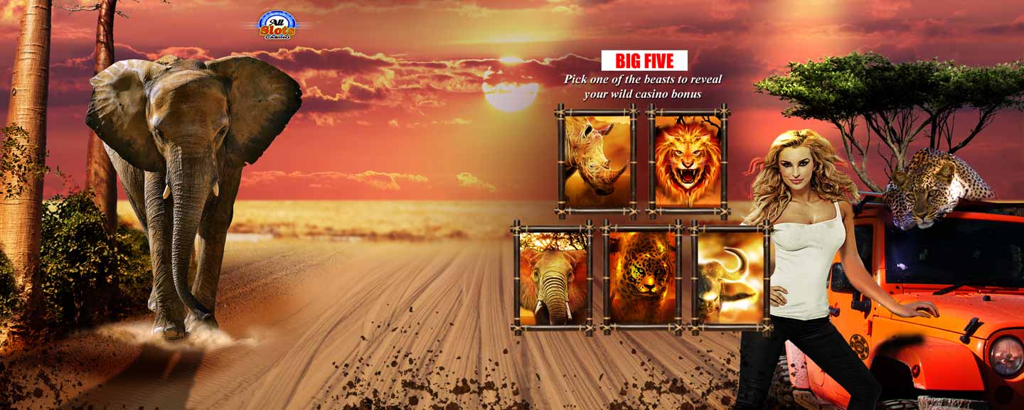 Win a safari with All Slots casino